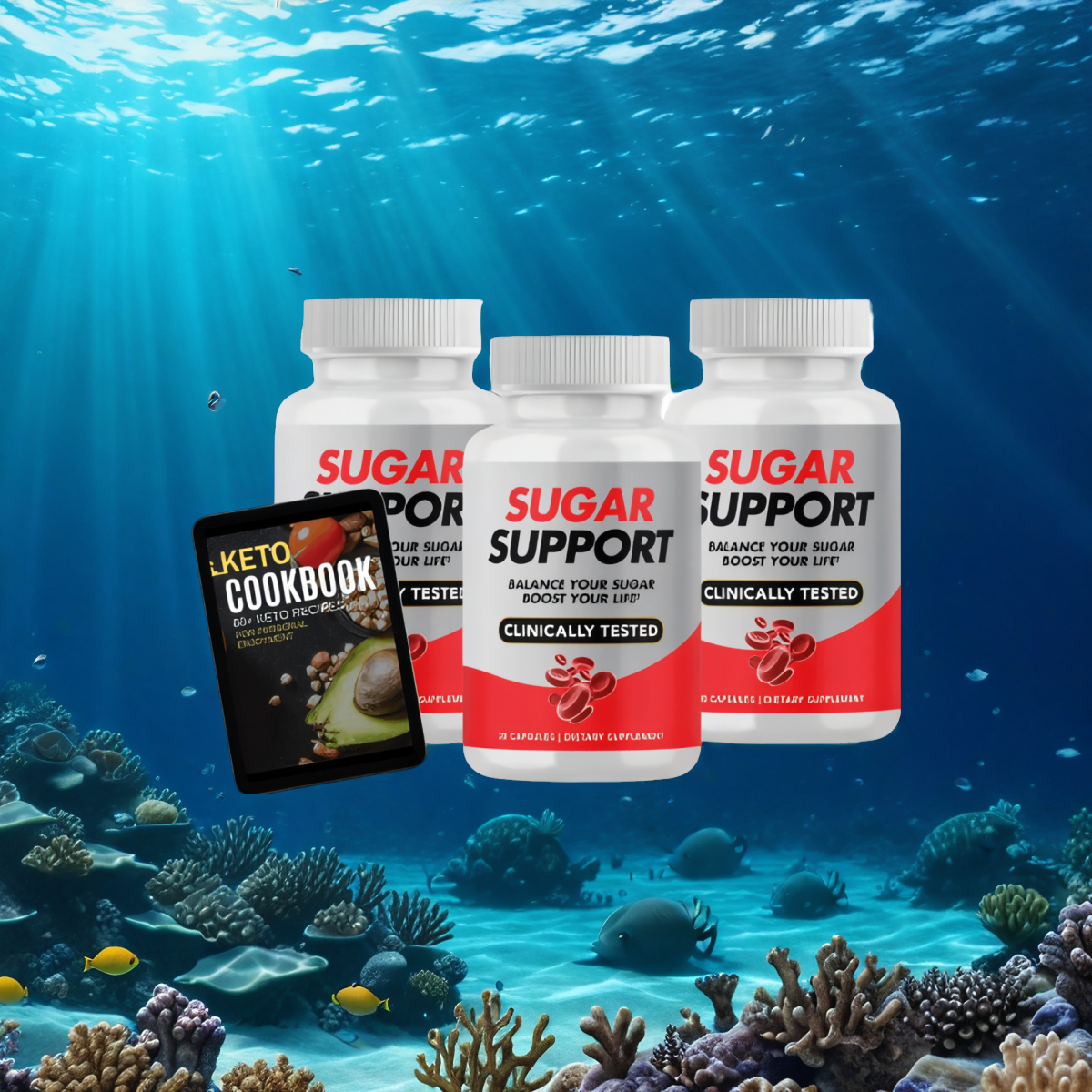 Sugar Support - 3 Bottles